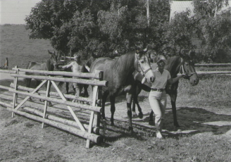 August 1965 Farfar Og Farmor Traekker Heste Ind